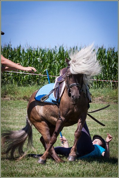 Mounted Games 114